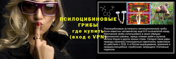 экстази Гусь-Хрустальный