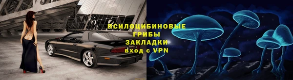 экстази Гусь-Хрустальный