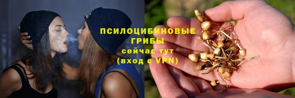 MDMA Дмитриев