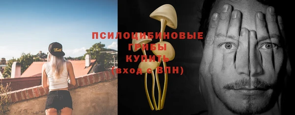 экстази Гусь-Хрустальный