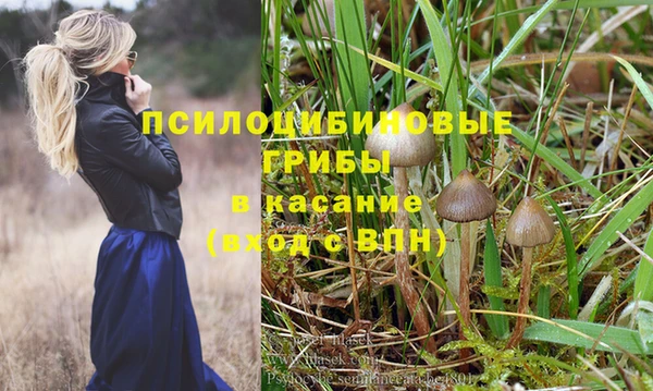 гашик Гусиноозёрск
